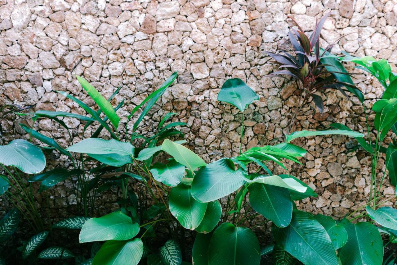Mana Eco Retreat Hotel Kuta  Exterior photo